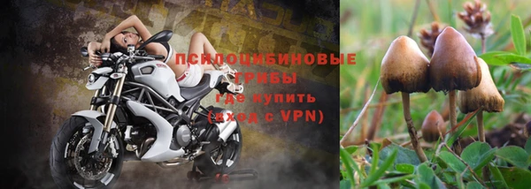 скорость mdpv Гусиноозёрск