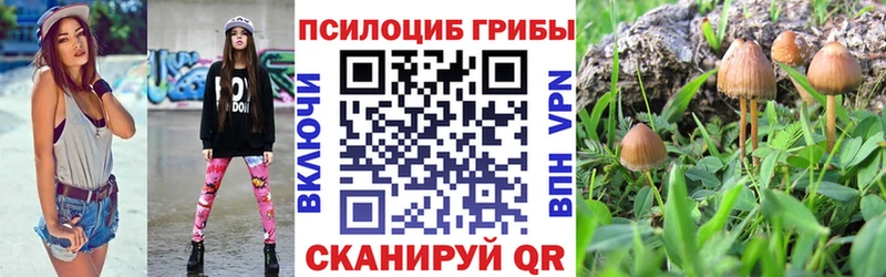 Галлюциногенные грибы MAGIC MUSHROOMS  Купить где  Катайск 
